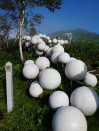 【北海道×3泊4日の旅】星野リゾートトマムの代表的スポット 「雲海テラス」