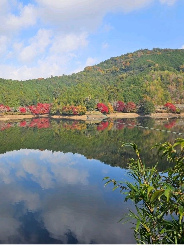 【100万トンの水量を誇るため池】