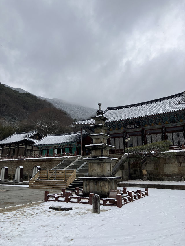 눈 내린 고즈넉한 사찰, 구례 화엄사!!!