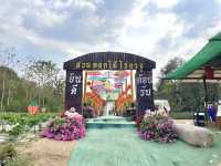 ไร่สตอเบอร์รี่อาจูเด่นชัย จ.แพร่