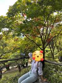 모노레일타며 자연 속 야외 데이트