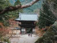  Jingo-ji 