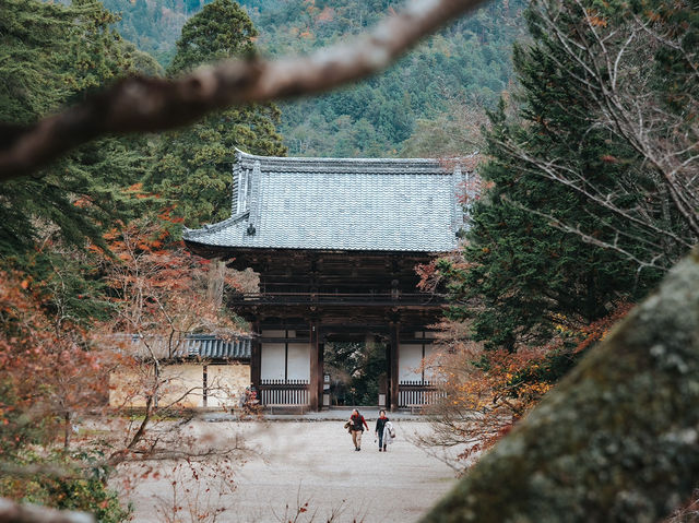  Jingo-ji 