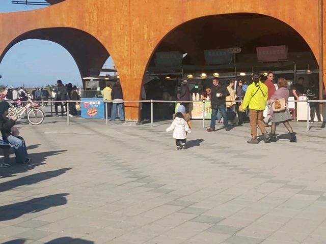南寮漁港一日遊