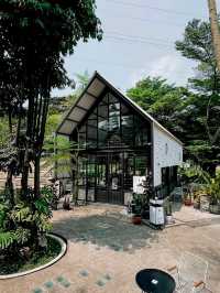 NAKO SENTUL CITY COFFEE