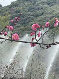 山口｜屹立逾350年 全木頭打造「不會倒的橋」岩國錦帶橋