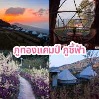 ภูทองแคมป์ ภูชี้ฟ้า