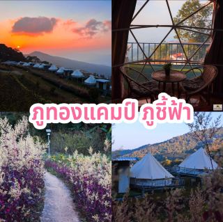 ภูทองแคมป์ ภูชี้ฟ้า