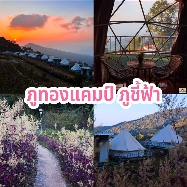 ภูทองแคมป์ ภูชี้ฟ้า