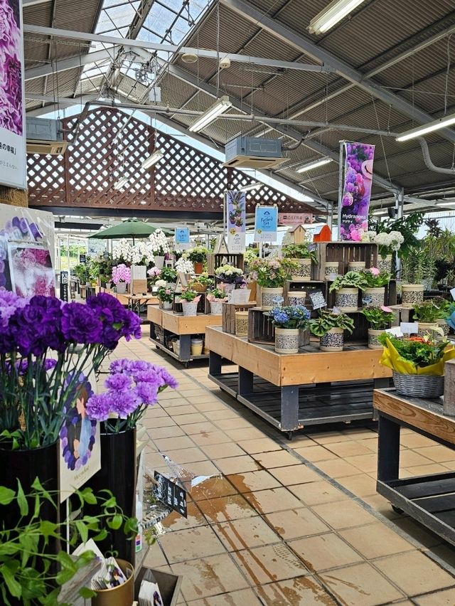 알록달록한 꽃들이 가득! 후쿠오카 신구 꽃집💐