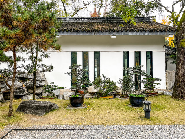 百花潭公園...청두