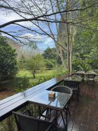 Coffee house lost in Krabi forest!