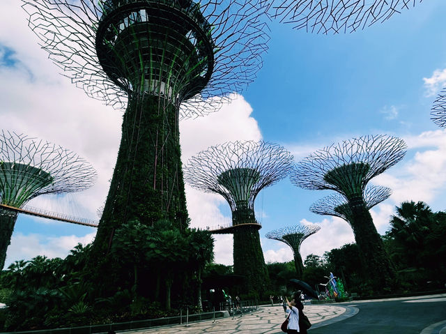 新加坡當地著名景點推薦：滨海湾花园，適合拍照打卡親子遊