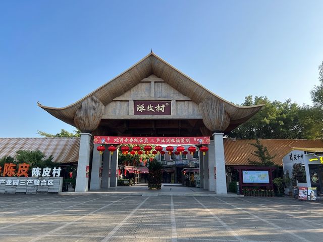 Fragrant Medicine  — The Chenpi of Xinhui (Dried Mandarin Peel)