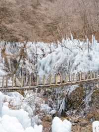 【埼玉県/秩父】東京から日帰りの氷の世界