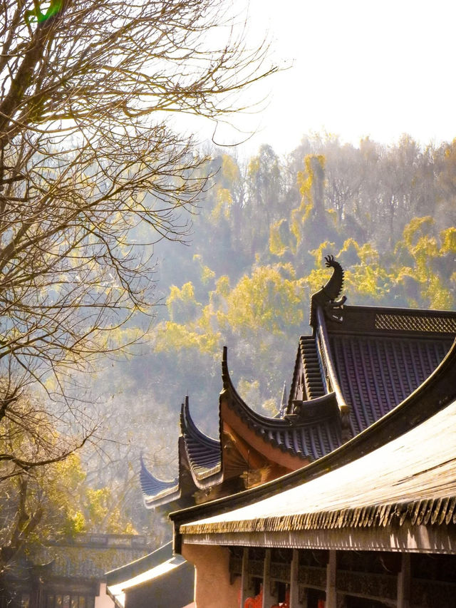 Fei Lai Feng & King Yun Shi: A Spiritual and Scenic Escape in China