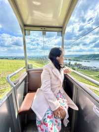 O ne Day in Rüdesheim: Discovering the Heart of the Rhine Valley
