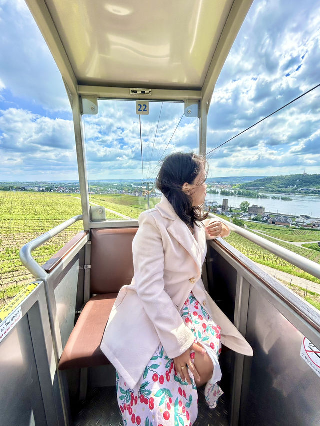O ne Day in Rüdesheim: Discovering the Heart of the Rhine Valley
