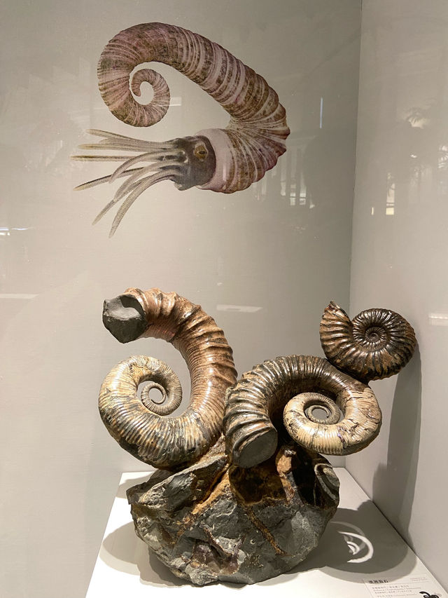 國立臺灣博物館古生物館—恐龍與歷史的交會點