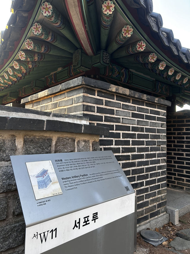 계절마다 피는 금계국과 야간 등대 조명이 운치를 더하며 걷는 서포루🇰🇷