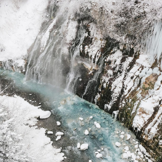A Day in Biei & Furano 🌨️❄️