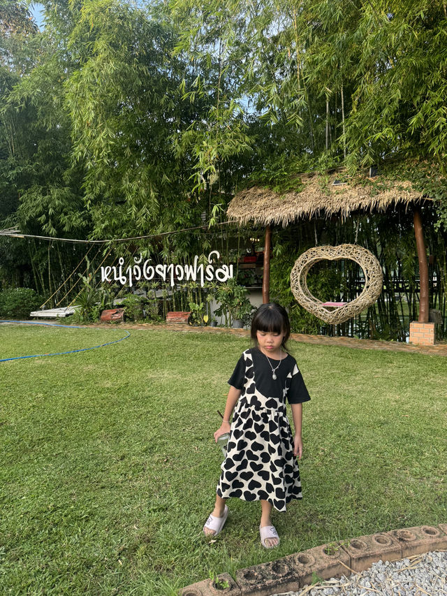 ไปดูบัวใหญ่ที่ หนำวังยาวฟาร์ม เทพา