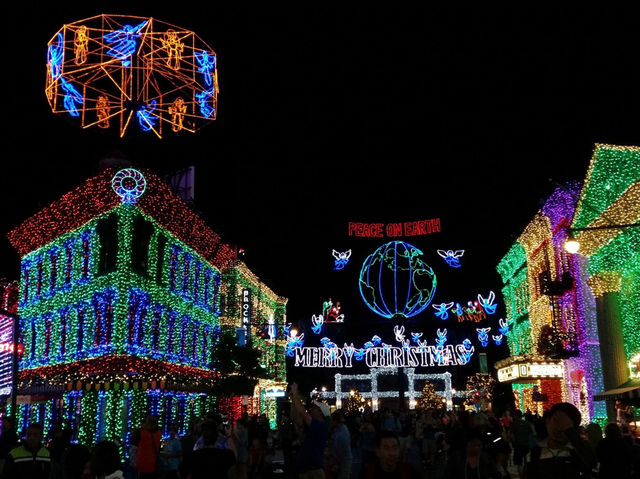 Walt Disney World 🏰✨ 