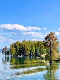 Erhai Lake: A Scenic Marvel