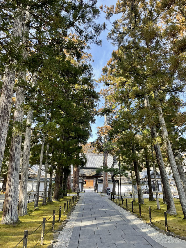【宮城県】日帰り1dayトリップ in松島海岸