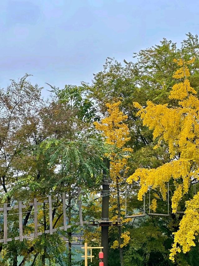 Luoshui Wetland Park: An Ecological and Cultural Haven