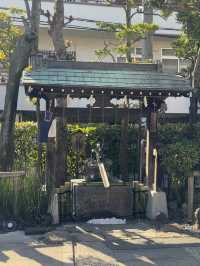 A Hidden Gem in Tokyo – Takagi Shrine⛩️