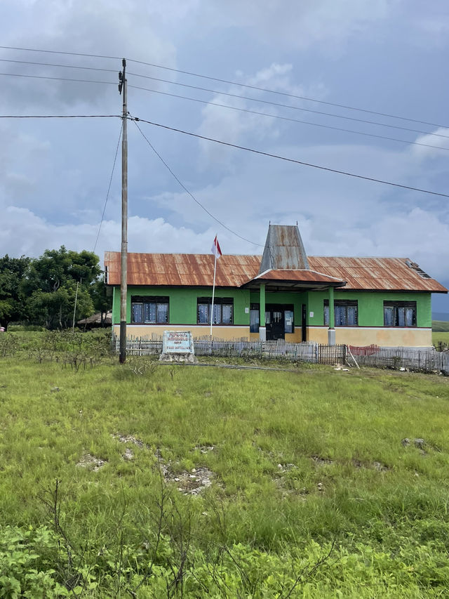 Welcome to Flores: Where Traditional Houses Tell a Story 🏡🌿 