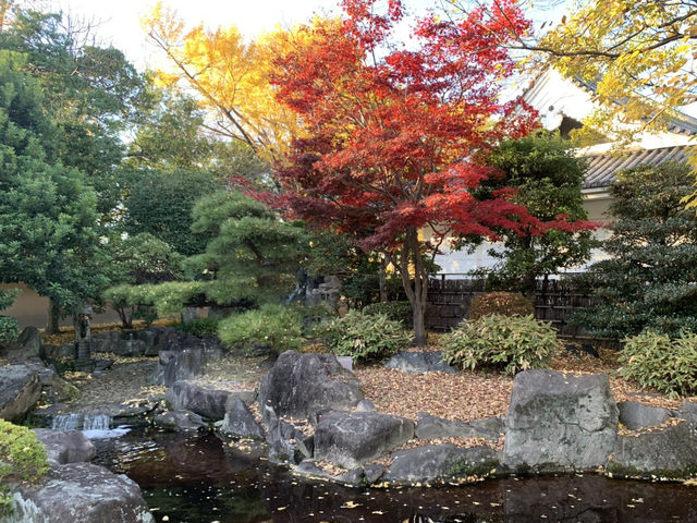 【愛知・岡崎】岡崎城🏯