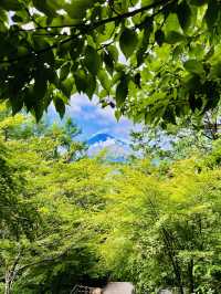 “Timeless Beauty: Mount Fuji’s Iconic View from Arakurayama Sengen Park”
