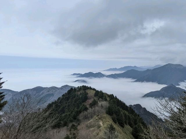 四国のパノラマ台と呼ぶにふさわしい自然美