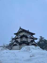 雪降る弘前城、冬の特権雪桜ライトアップ✨
