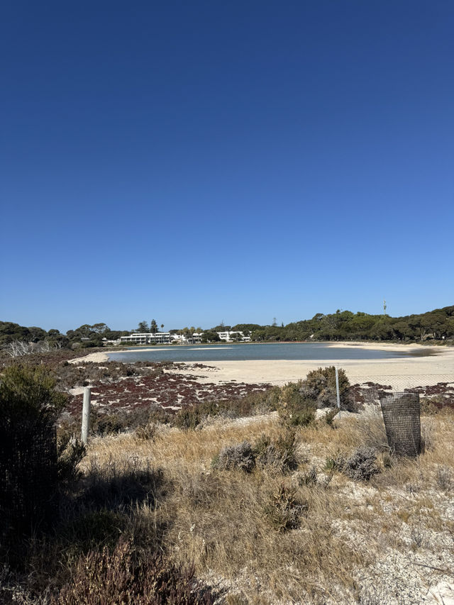 Rottnest Island Cycling Guide