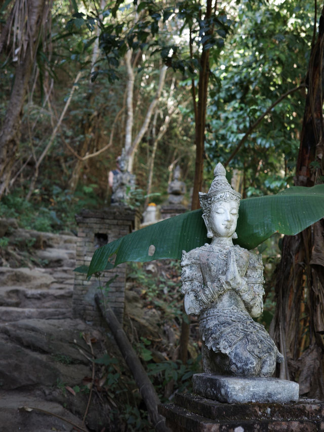 🌄 **【清邁素貼山徒步指南：雲霧與石階交織的朝聖路】** 📜  