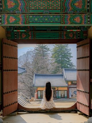 고즈넉한 한국 사찰의 매력을 그대로 느낄 수 있는 곳✨