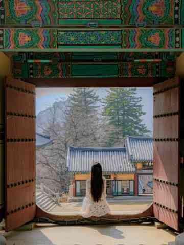 海印寺のおすすめ観光スポット2026年（2月更新）| Trip Moments