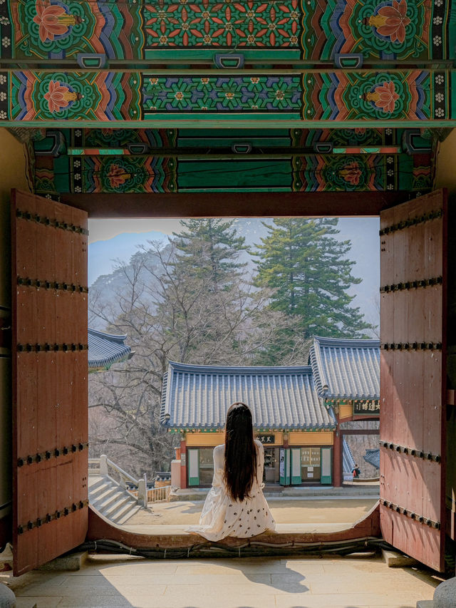 고즈넉한 한국 사찰의 매력을 그대로 느낄 수 있는 곳✨
