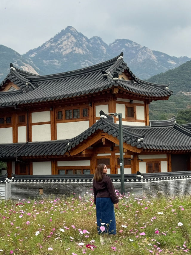 EUNPYEONG HANOK VILLAGE IN SOUTH KOREA 🇰🇷