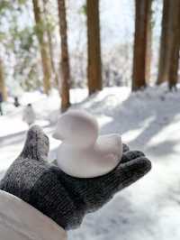 長野景點| 户隱神社(奧社) ~ 白雪中的杉樹林太美了！