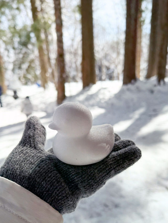 長野景點| 户隱神社(奧社) ~ 白雪中的杉樹林太美了！