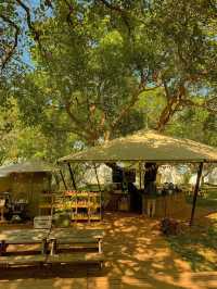 Tropical Eglamping 