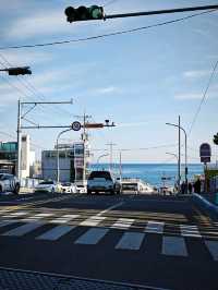 韓國海雲台 海岸列車之旅