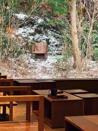 제주의 숲 한가운데에서 즐기는 시그니처 커피🌲