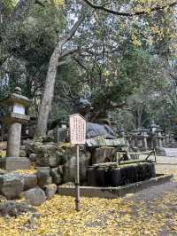 🇯🇵🎎🎏⛩️日本-大板-奈良一日遊