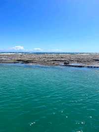 "Kalbarri: Where Nature's Wonders Meet the Ocean"