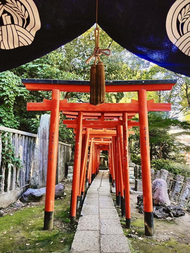 紅色鳥居間的幽靜時光